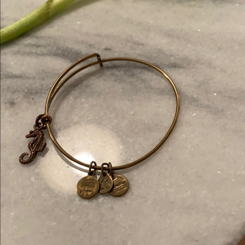Alex and Ani seahorse charm. *3 for 25  sale item